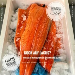 Kein FDW im Angebot, dafür aber frisches Lachsfilet!  