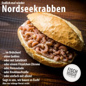 Nordseekrabben Sept. 24